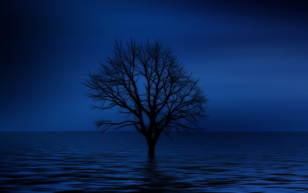 Masterminding Midnight Dreams